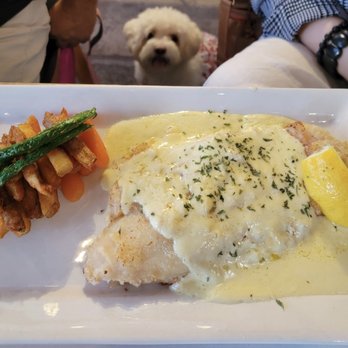 Midoh Rowland Heights - Japanese Curry Near Me - Rowland Heights, California