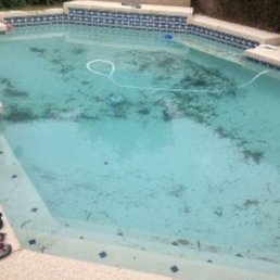 My pool that their technician was supposed to clean and check chemicals for but did neither My pool that their technician was supposed to clean and check chemicals for but did neither