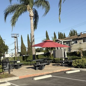 Pickle Banh Mi - Vietnamese Near Me - Anaheim, California Pickle Banh Mi - Vietnamese Near Me - Anaheim, California