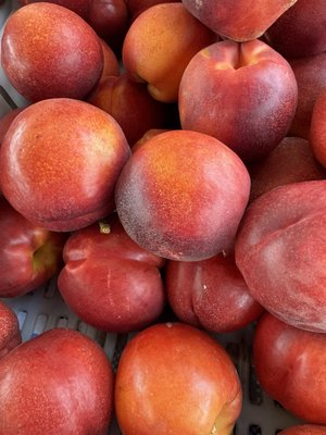 Rose Garden Farmer's Market by null