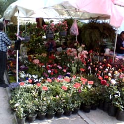 Feria de la Candelaria