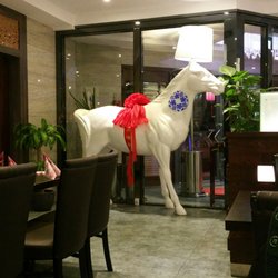 Pagoda - Da steht ein Pferd auf dem Flur.