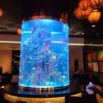 Atlantis Steakhouse - Steakhouses Near Me - RENO, Nevada Atlantis Steakhouse - Steakhouses Near Me - RENO, Nevada