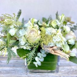 Fleurs Du Soleil