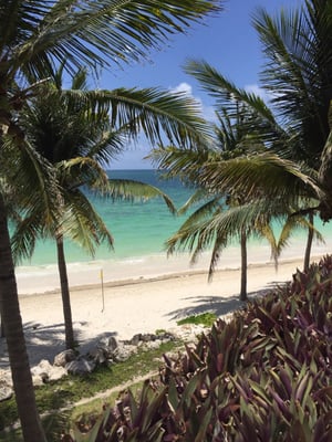 Paraiso de la Bonita, a Luxury Collection Resort, Riviera Maya, Adult All-Inclusive by null