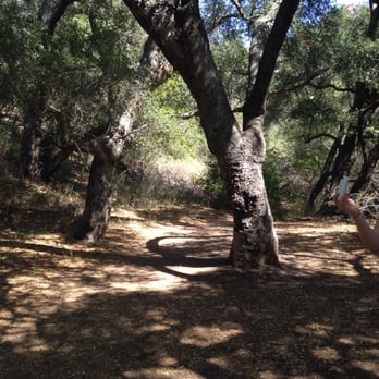 The Grotto - Trees! - Hiking Near Me - Malibu, California The Grotto - Trees! - Hiking Near Me - Malibu, California