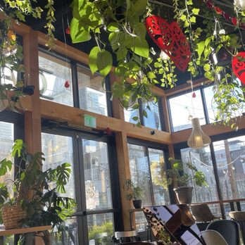 Café Hagen - Inside - Scandinavian Near Me - Seattle, Washington Café Hagen - Inside - Scandinavian Near Me - Seattle, Washington