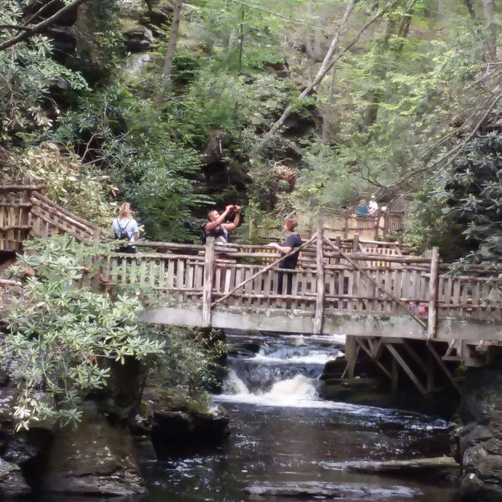 Bushkill Falls - Great bridge access. - Tours Near Me - Bushkill, Pennsylvania Bushkill Falls - Great bridge access. - Tours Near Me - Bushkill, Pennsylvania