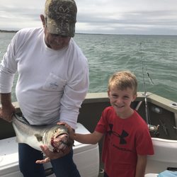 Roxy Sportfishing
