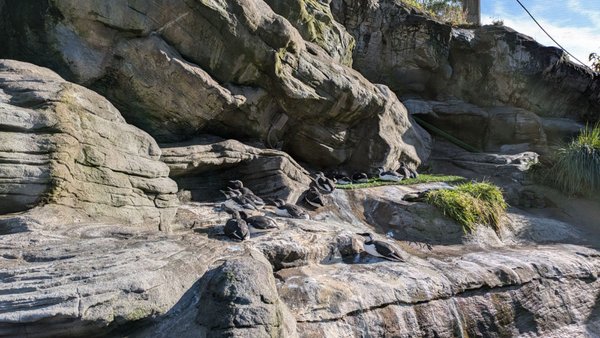 Oregon Coast Aquarium by null