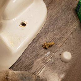 I tried to tighten the bolt, to make a better seal, but it broke loose. I tried to tighten the bolt, to make a better seal, but it broke loose.