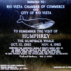 Humphrey The Whale Monument