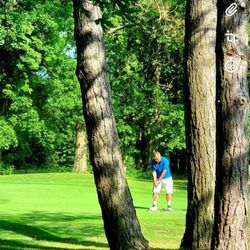 Pine Brook Golf Links
