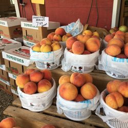 Farmer John's Produce