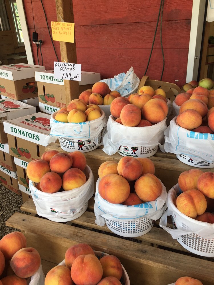 FARMER JOHN’S PRODUCE Updated August 2024 2100 W Elk Ave