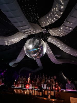 Discopussy by null