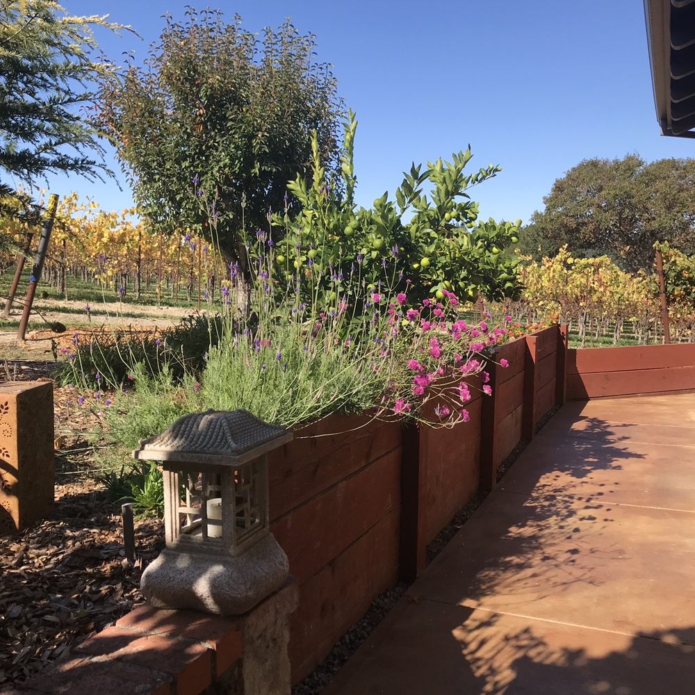Square Peg Winery - Wine Tasting Room Near Me - Sebastopol, California Square Peg Winery - Wine Tasting Room Near Me - Sebastopol, California