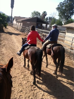 S&D Horseback Riding by null