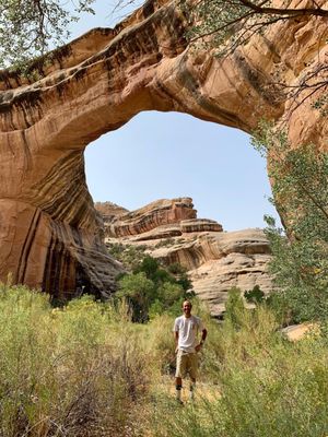 Natural Bridges National Monument by null