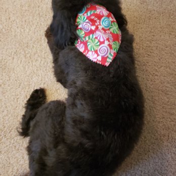 Blissful Pet Salon - Pet Groomers Near Me - Prescott Valley, Arizona Blissful Pet Salon - Pet Groomers Near Me - Prescott Valley, Arizona