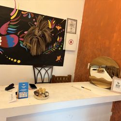 Adelitas - Interior