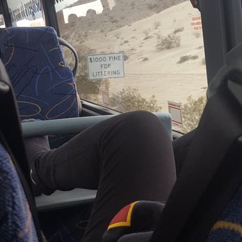 Megabus - Buses Near Me Megabus - Buses Near Me