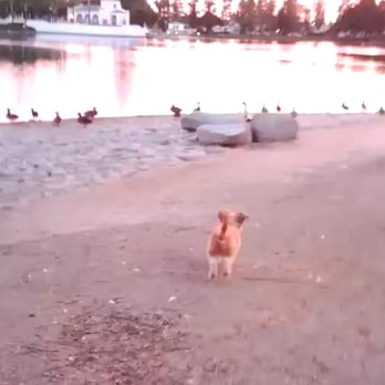 Eastlake Lake - Lakes Near Me - Chula Vista, California