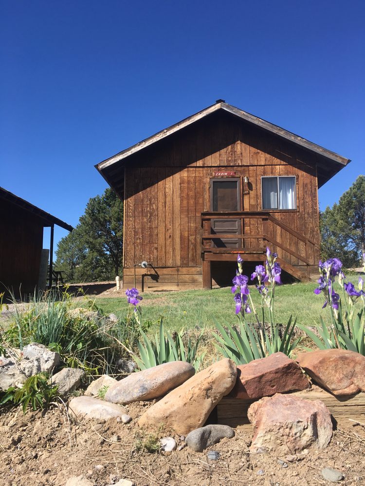 STONE HOUSE LODGE Updated October 2024 18 Photos 1409 Heron Lake