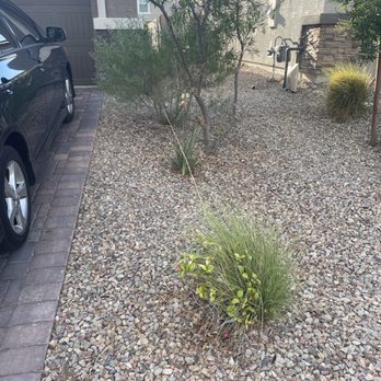 Ultimate Lawn Maintenance - Side before - Lawn Services Near Me Ultimate Lawn Maintenance - Side before - Lawn Services Near Me