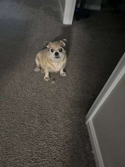 Slide of SIRC Pros Backflows