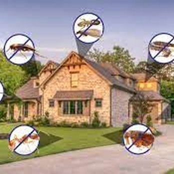 Antipesto Exterminating - Pest Control Near Me - Saugus, Massachusetts Antipesto Exterminating - Pest Control Near Me - Saugus, Massachusetts