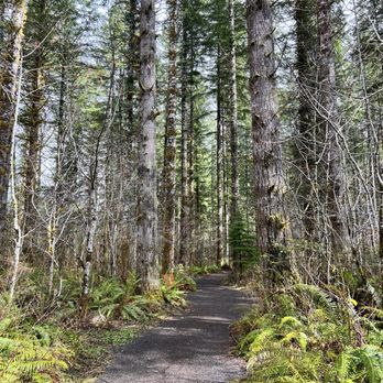 Tillamook Forest Center - Tillamook Forest Center - Parks Near Me - Tillamook, Oregon Tillamook Forest Center - Tillamook Forest Center - Parks Near Me - Tillamook, Oregon