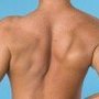 Photo of Wholistic Healing Chiropractic