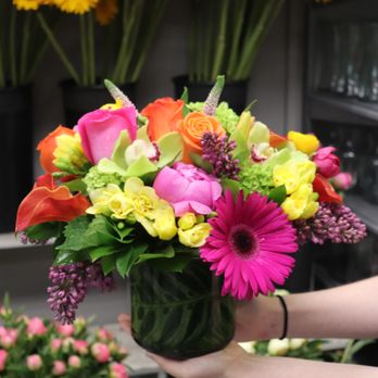 Central Square Florist - Florists Near Me - Cambridge, Massachusetts Central Square Florist - Florists Near Me - Cambridge, Massachusetts