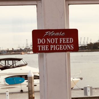 Parkers' Lighthouse - What it says. - Seafood Near Me - Long Beach, California Parkers' Lighthouse - What it says. - Seafood Near Me - Long Beach, California