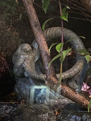 Little River Inn Restaurant by null