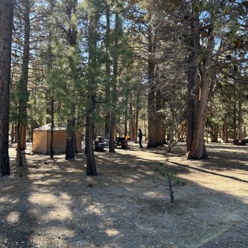 Serrano Campground - Campgrounds Near Me - Fawnskin, California Serrano Campground - Campgrounds Near Me - Fawnskin, California