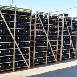 Great Lakes Hops - How we ship Commercial orders!