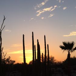 Silver Spur RV Park
