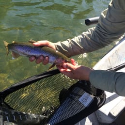 Just one of the beautiful Rainbows I caught with Tom.