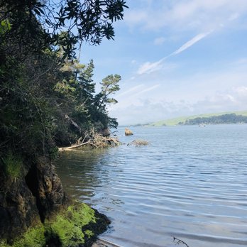 Blue Waters Kayaking - Rafting/Kayaking Near Me - Point Reyes Station, California