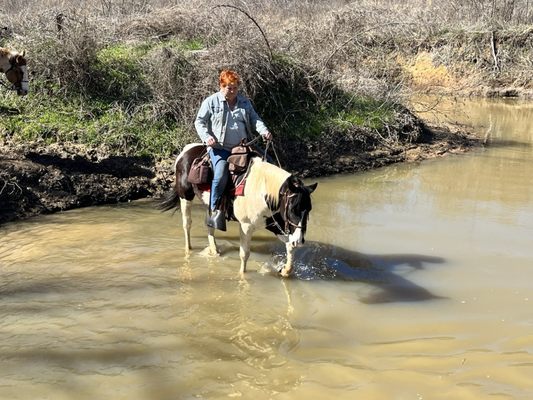Widowmaker Trail Rides by null