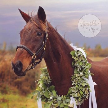 Magic Flowers - Florists Near Me - Dowling, Ontario Magic Flowers - Florists Near Me - Dowling, Ontario