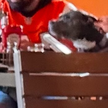 Pumphouse Brewery - Eating off of & licking the table!! - Breweries Near Me - Longmont, Colorado Pumphouse Brewery - Eating off of & licking the table!! - Breweries Near Me - Longmont, Colorado