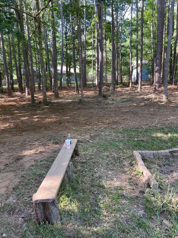 G&H Forestry Mulching And Land Services - tree service in Fayetteville, GA