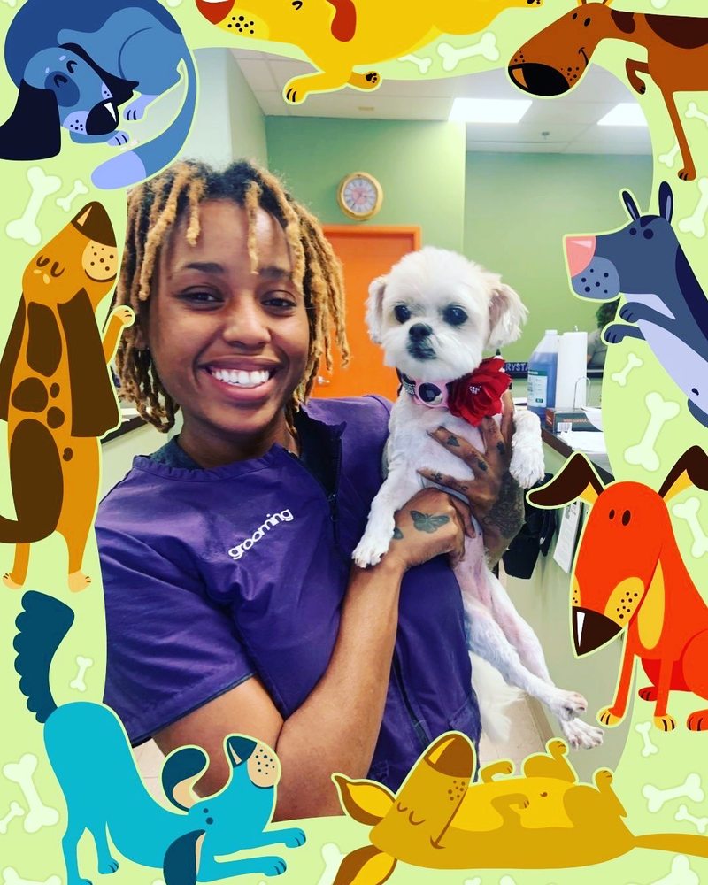 SNAZZY DOGZ Updated August 2024 32 Photos & 48 Reviews 13644 N