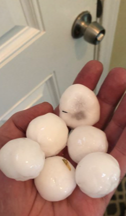 Slide of Rooftop Veterans