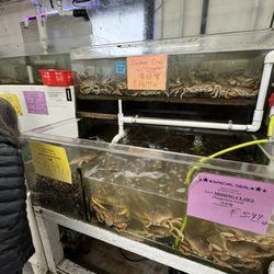 ABC Seafood Company - Dungeness Crabs