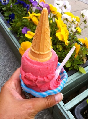 Robin's Nest by null