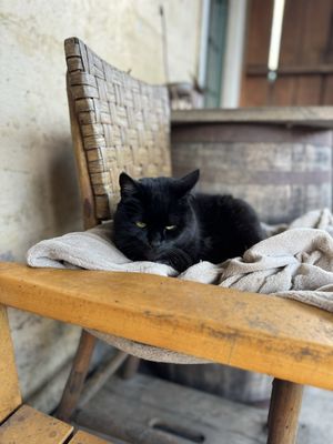 Copper Fox Distillery Sperryville by null